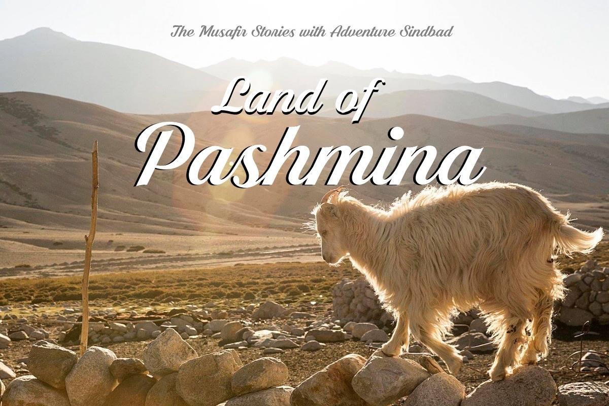104: Rebroadcast: Land of Pashmina with Adventure Sindbad
